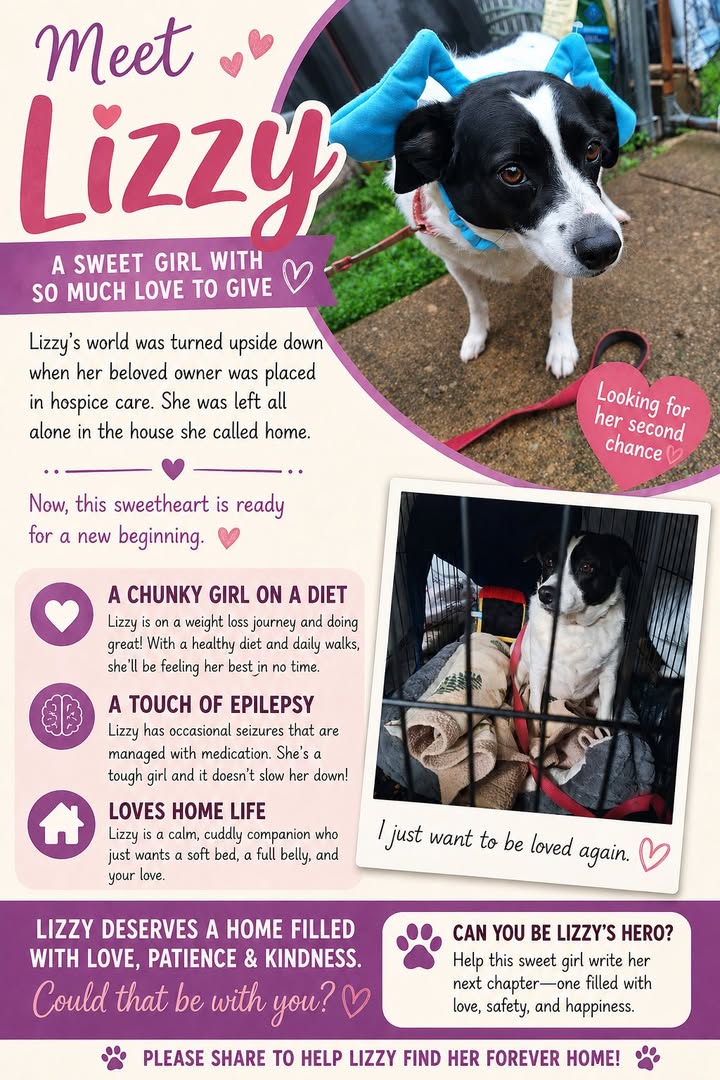 Tuff Dawgs Rescue