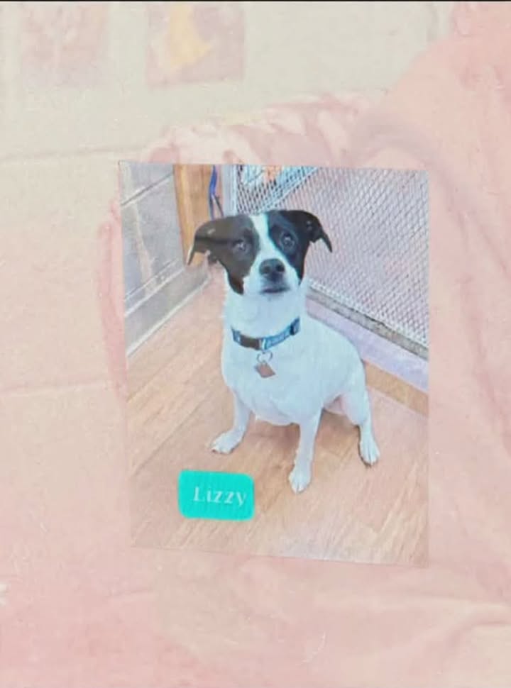 Tuff Dawgs Rescue
