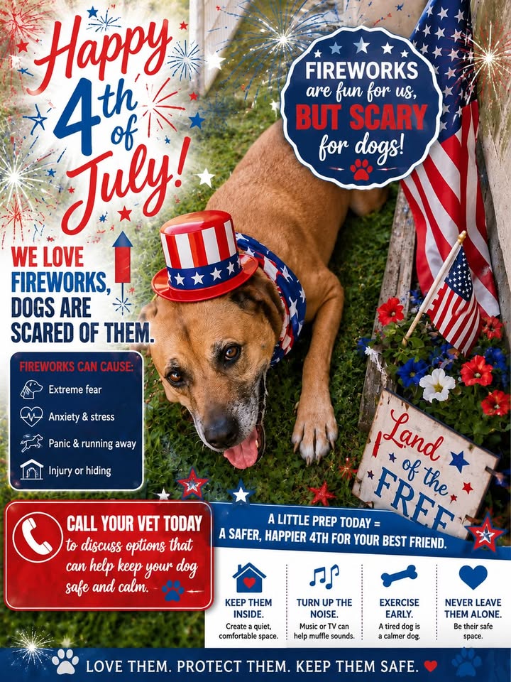 Tuff Dawgs Rescue