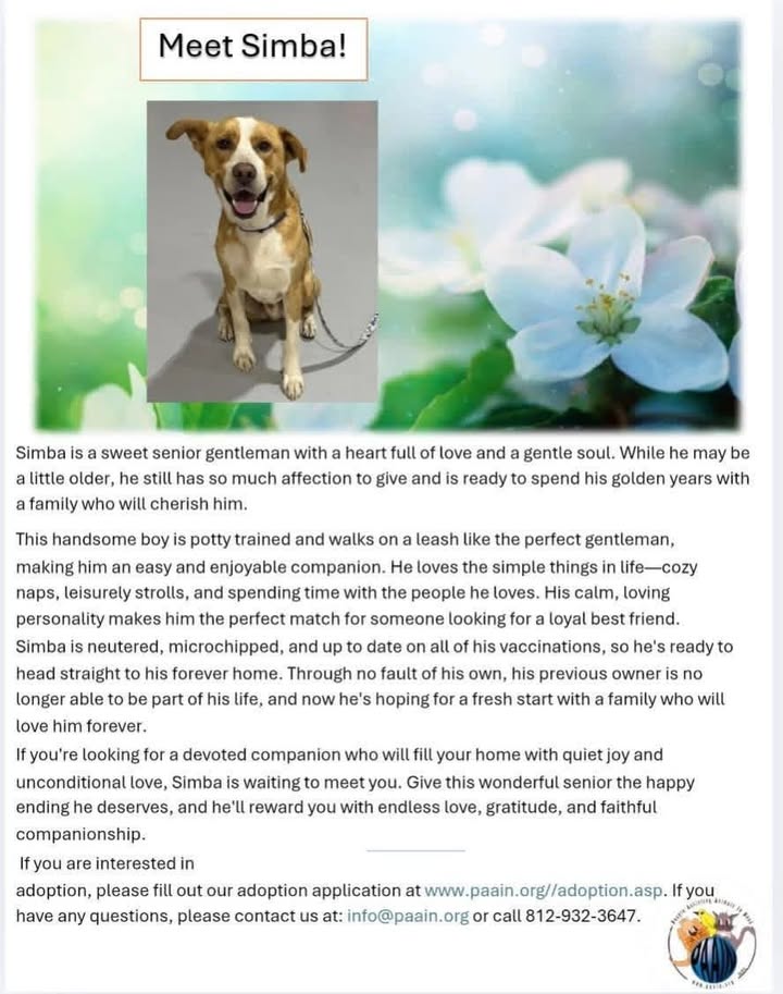 Tuff Dawgs Rescue